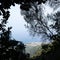 Square view over mountains and Atlantic ocean in background framed by foliage