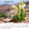 Square wall monthly calendar ready for print