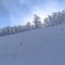 Square Wasatch Mountain terrain with frosted trees on snow covered slope in winter