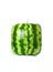 Square water melon isolated