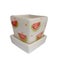 Square white ceramic pot and plate painted with watermelon.