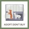 Squared banner with stray dogs in cage flat style, vector illustration
