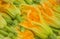 Squash Blossoms, Farmers Market