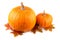 Squash with fall leaves closeup Orange pumpkins on white