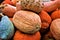 Squash at a Farmers Market in Autumn