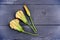 Squash flowers on grey rustic table