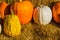 Squash & Pumpkins On Display For Halloween