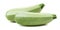 Squash vegetable marrow zucchini isolated 2