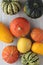 Squash vegetable selection