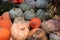 Squashs in a market, Montreal, Quebec, Canada