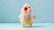 squawking chicken or squeaky toy are shouting and copy space pastel background. Generative AI illustration