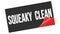 SQUEAKY  CLEAN text on black red sticker stamp