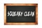 SQUEAKY  CLEAN text written on wooden frame school blackboard