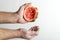 Squeezed grapefruit and juice drops. Man holding fully squeezed exotic fruit against white background