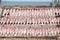 Squid lay on net, Dried Squid, traditional squids drying in the sun in a idyllic fishermen village,Thailand.