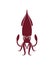 Squid sign isolated. calamary icon. Vector illustration