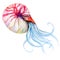Squid Watercolor Vector