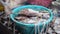 Squids in a basket in a market, Philippines.