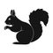 Squirrel.Animals single icon in black style vector symbol stock illustration web.