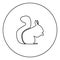 Squirrel black icon in circle outline