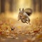 Squirrel chasing an acorn