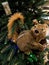 Squirrel on christmas tree. The photo depicts a fragment of a New Year tree.