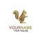 Squirrel creative illustration logo icon design