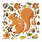 Squirrel cute forest illustration