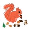 Squirrel Cute Vector illustration of a cartoon squirrel with cones and acorns, leaves and mushroom Education and child