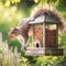 A squirrel dangles precariously from a rustic nut dispenser in an English garden