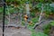 Squirrel eating out of a bird feeder at the Frederick Meijer Gardens