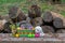 Squirrel eating sitting in the easter basket full of eggs with a bunch of wood in the background