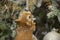 Squirrel grabs coniferous branch in winter. Toy squirrel runs through woods. Animal gnaws on twig. Figurine for Christmas