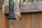 Squirrel hanging by feet eating seeds from bird feeder