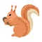 Squirrel holding a pinecone. Vector cartoon illustration