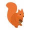 Squirrel icon, isometric 3d style