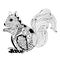 Squirrel illustration