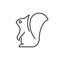 Squirrel line icon