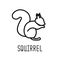 Squirrel line icon