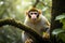 Squirrel Monkeys in their natural Amazon Rainforest Environment, created with Generative AI technology