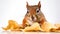 a squirrel munching on a bag of potato chips against a white background.