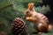 squirrel nibbling on a pine cone in tree