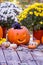 Squirrel pops out of a grinning jack o lantern