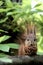 Squirrel red on a chestnut tree in tree background