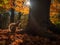 Squirrel\\\'s Feast: Autumn in the Enchanted Forest