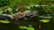 Squirrel, Sciurus vulgaris sitting and fishing in a garden pond in Sweden.