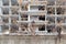 Squirrel sits on a tree branch against the background of a building under construction and a fencewith barbed wire