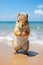 a squirrel standing on its hind legs on a beach