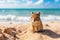 a squirrel standing on sand