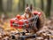 Squirrel stands near the miniature shopping cart filled with nuts